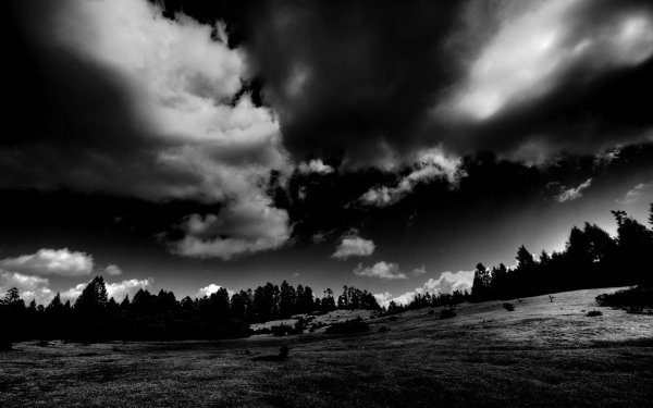 Мрачный пейзаж