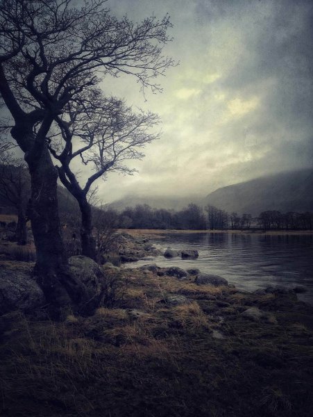 Зловещий пейзаж