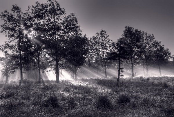 Мрачная осень