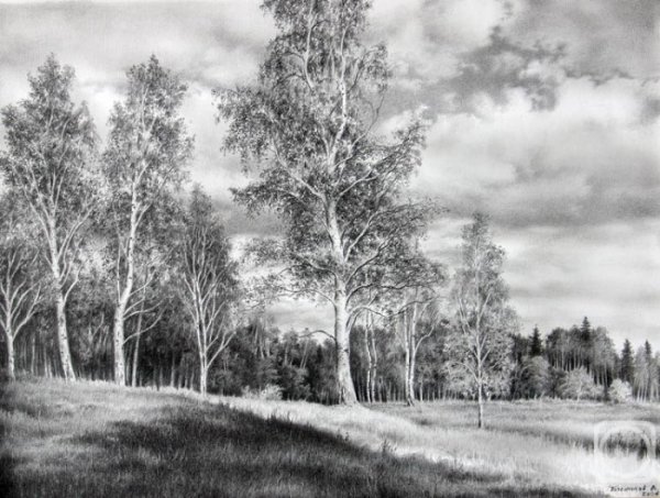 Пейзажи для срисовки для начинающих карандашом