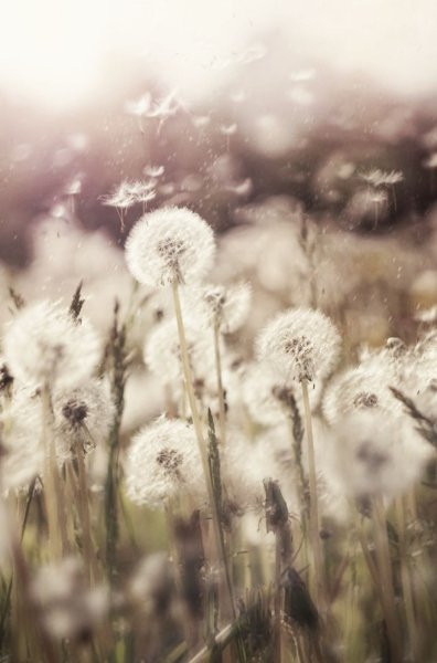 Пейзаж в пастельных тонах