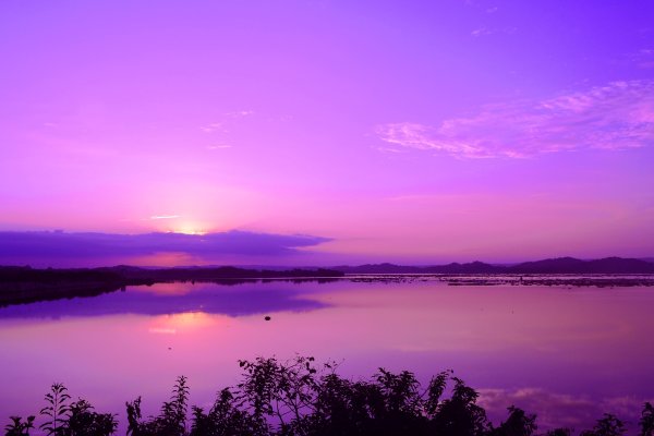 Розовый закат