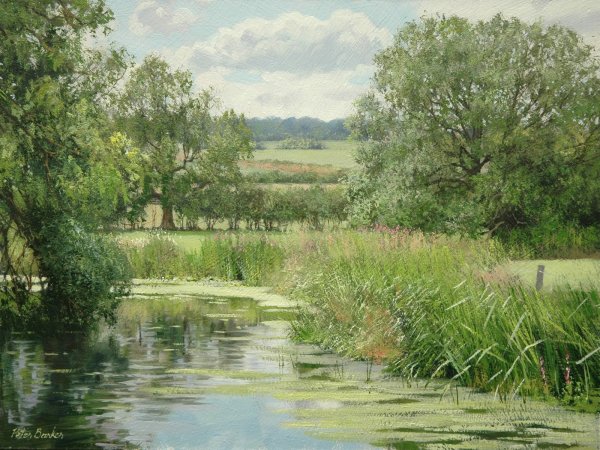 Лето в Англии художник Питер Баркер