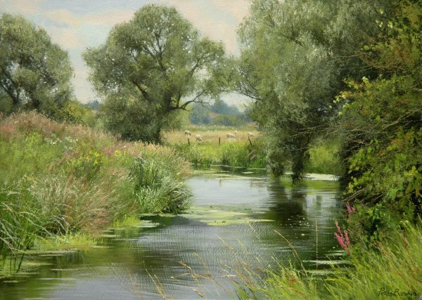 Питер Баркер художник лебеди