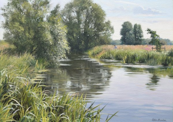 Питер Баркер картины