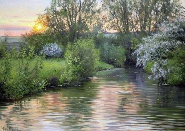 Пейзажи Уолсолла