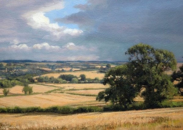 Летние пейзажи, ласкающие взор