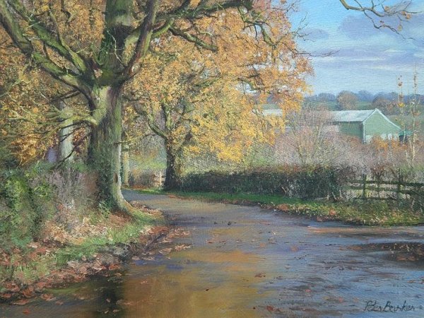 Художник Питер Баркер летний лес