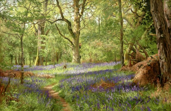 Пейзажи е.Петерс