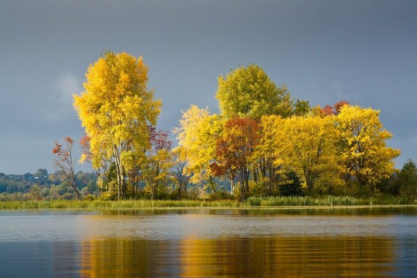 Фотограф Золотая осень