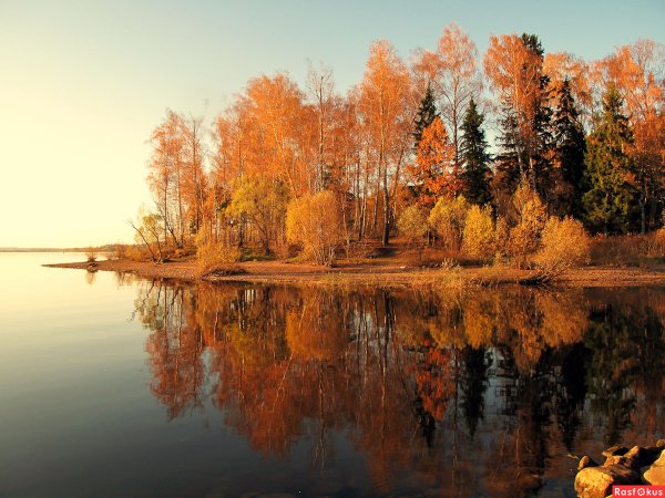 Телевизор DEXP f22b7200c 22"