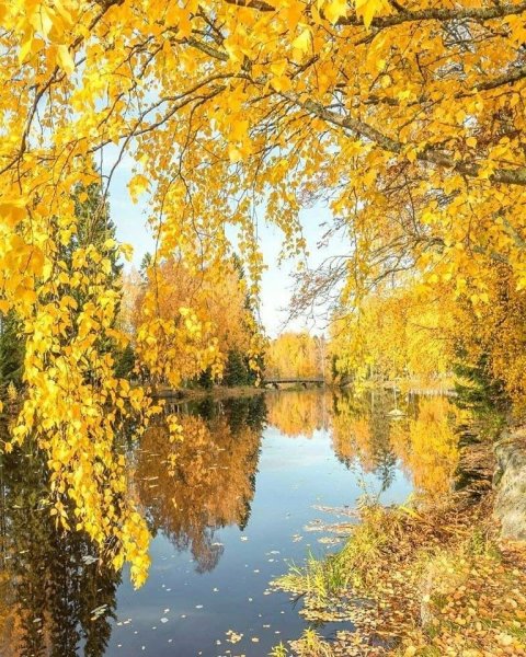 Золотая осень