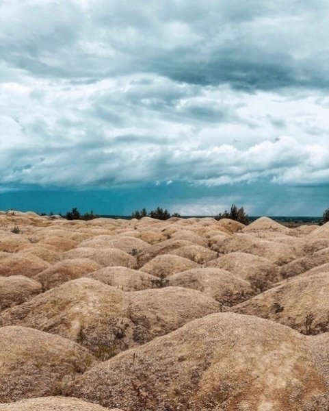 Карьер Гатчина Бронницкий