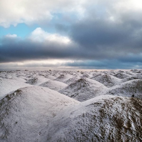 Карьер в Гатчине Борницкий