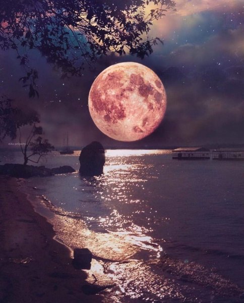 Таинственное болото