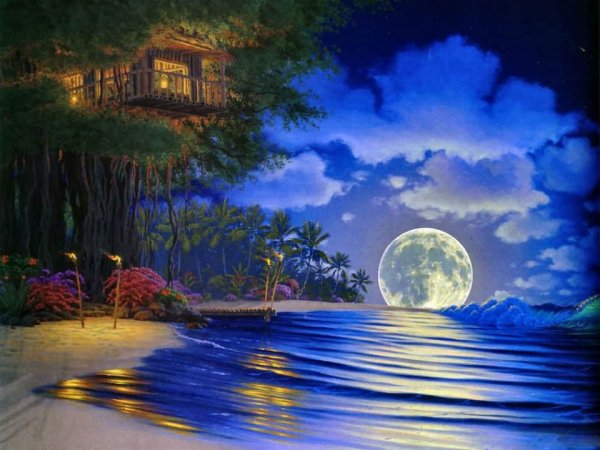 Костер ночью