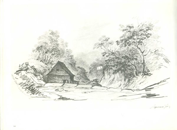 Михаил Лермонтов — дереву