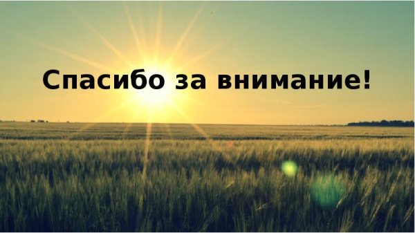 Спасибо за внимание степь