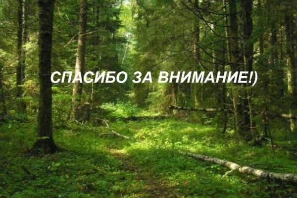 Спасибо за внимание родной край