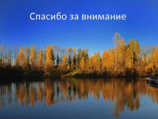 Спасибо за внимание для презентации
