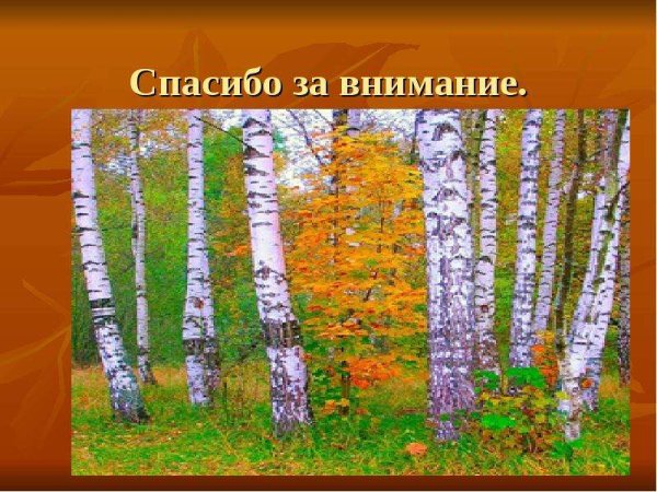 Спасибо за внимание природа