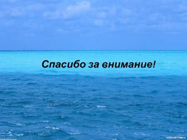 Спасибо за внимание растения