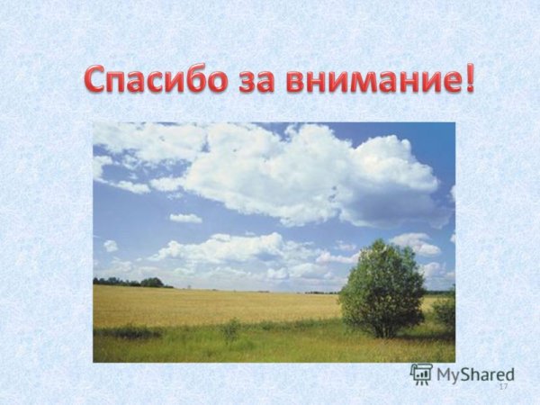 Спасибо за внимание горы