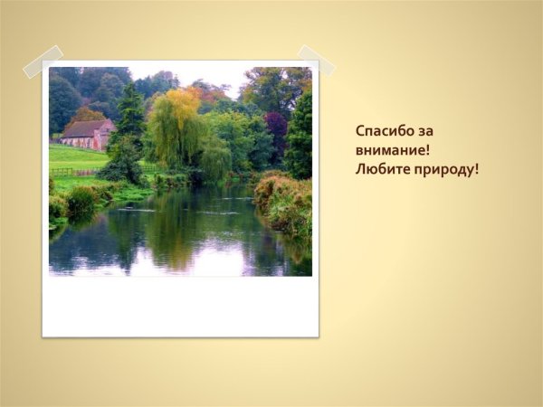 Спасибо за внимание с лесом