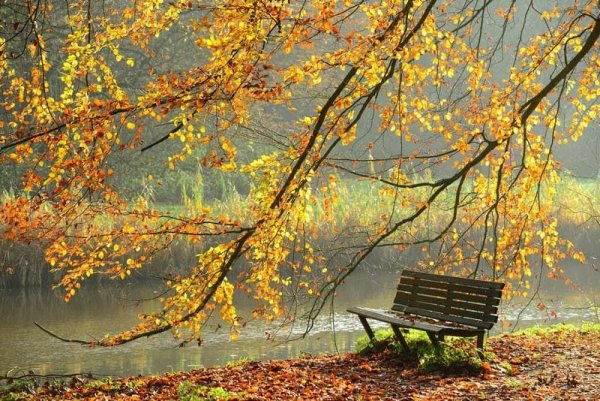 Осень прекрасная пора