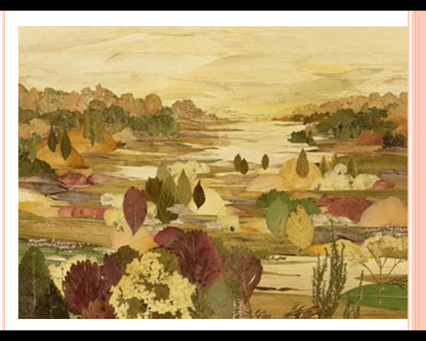 Картины пейзажи из засушенных растений в Японии