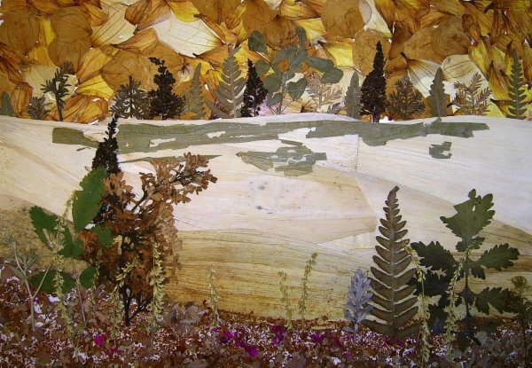 Ошибана пейзажи