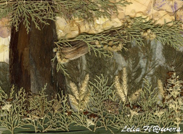 Ошибана Натальи Горобурдо