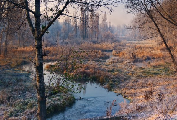 Осень дождь