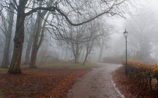 Поздняя осень туман