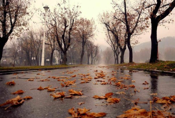 Осенний пейзаж