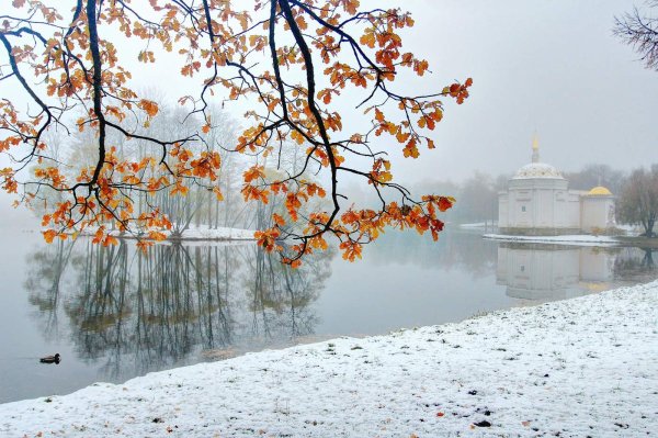 Художник Джефф Роуланд зима