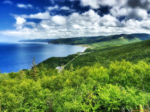 Природа море