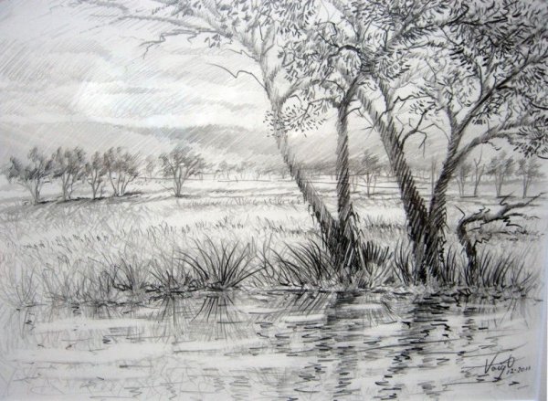 Рисование пейзажа карандашом