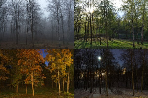 Утро, день, вечер, ночь