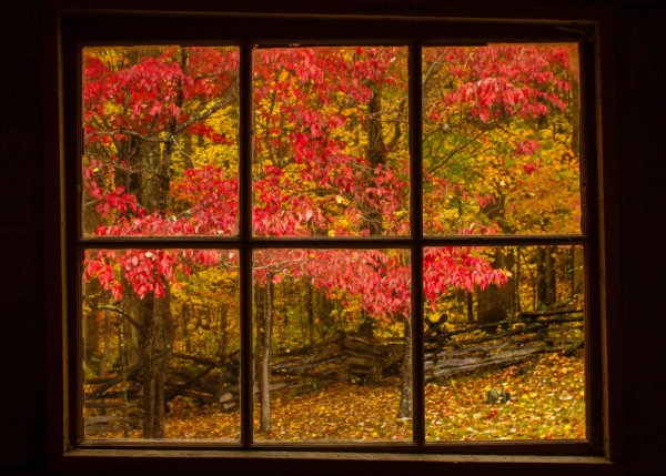 Осенний вид из окна