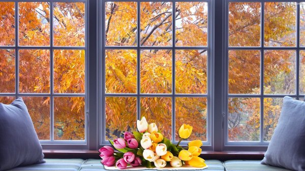 Осенний вид из окна