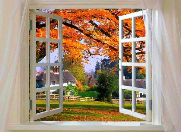 Фотообои окно видом на природу