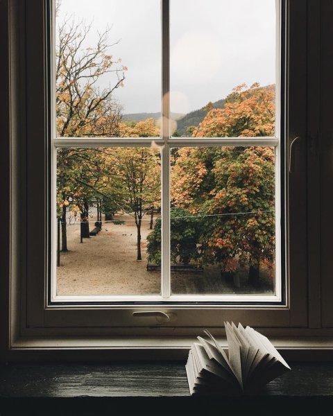 Пейзаж из окна