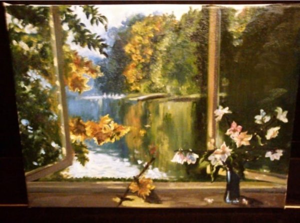 Вид из окна на осенний парк