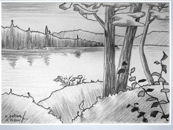 Природа карандашом