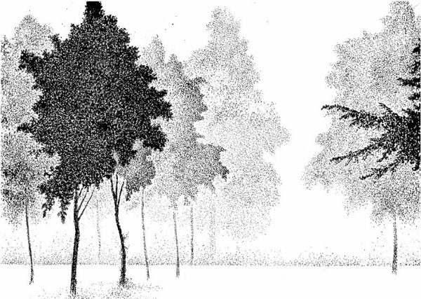 Деревья тушью