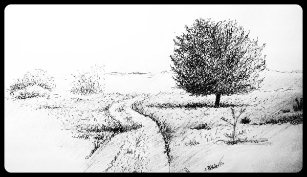 Пейзаж деревья Графика