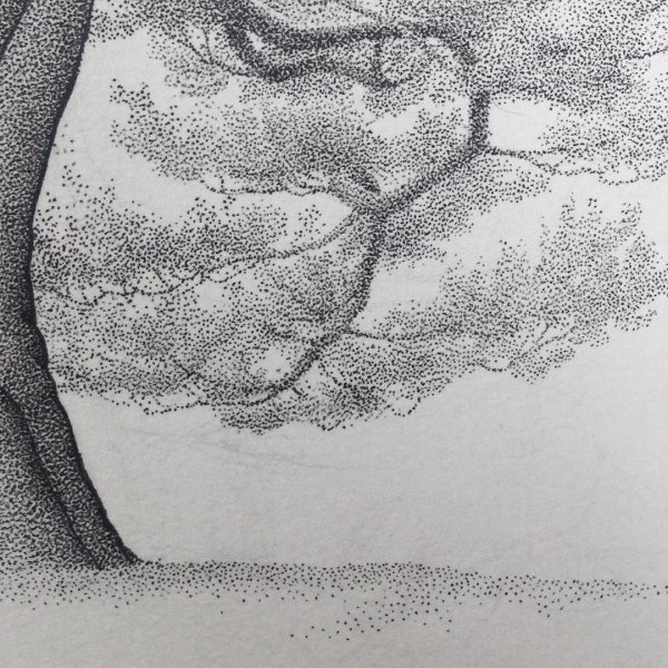 Точечная техника рисования карандашом