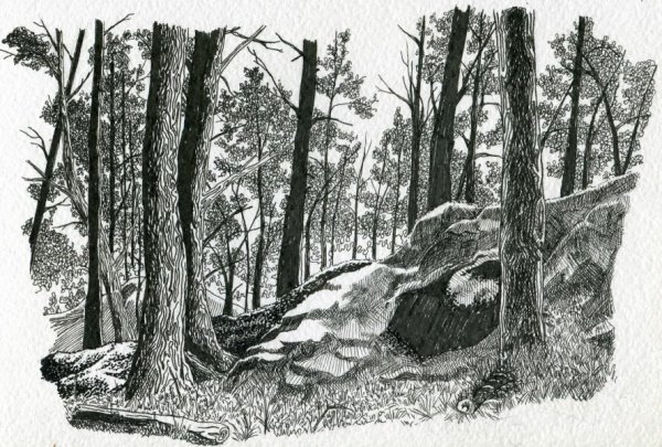 Пейзаж Графика