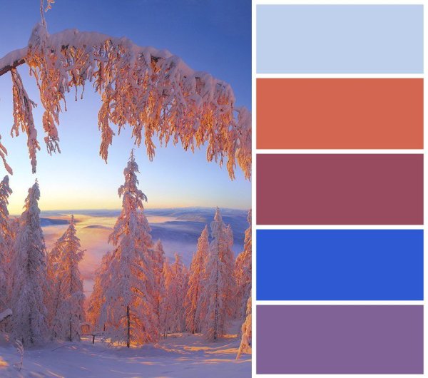 Зимняя палитра цветов